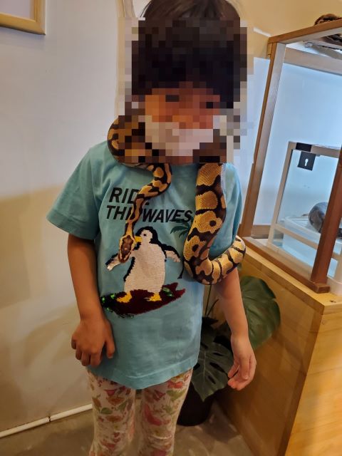 モフアニマルカフェ「マークイズ福岡ももち店」のイベントでボールニシキヘビを首に巻ける。女の子が首に巻いている画像。